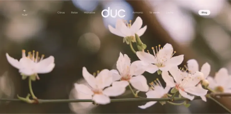 DUC