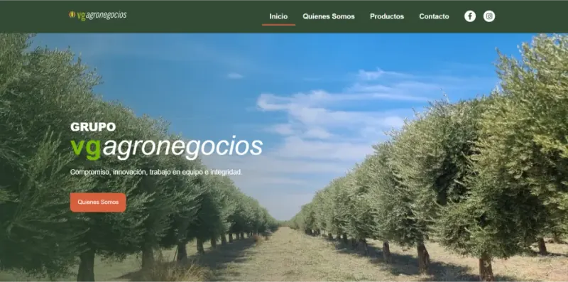 VG Agronegocios